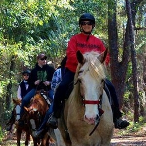 Pinellas Country Horseback riding Tours Clearwater St Petersburg