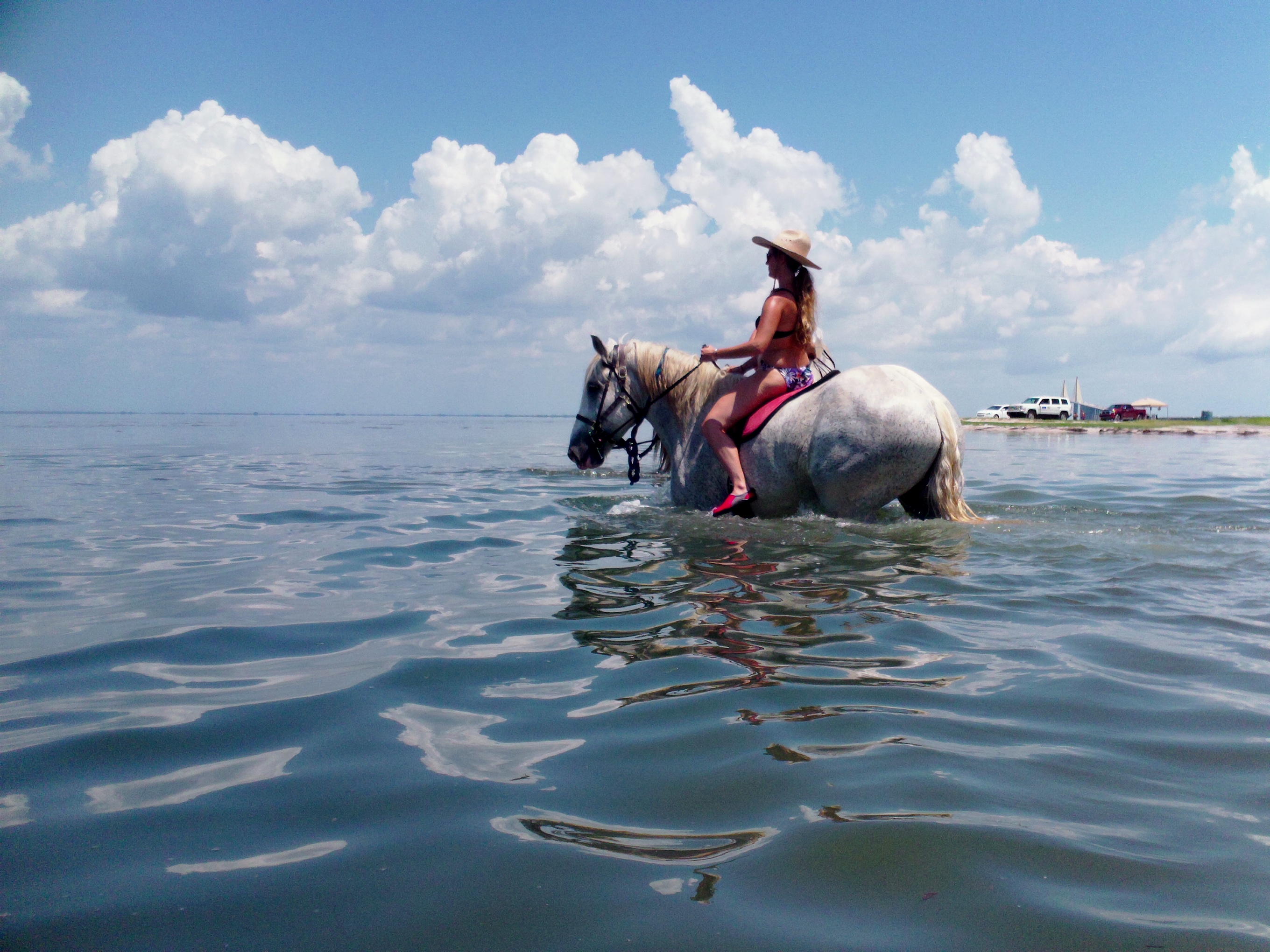 ocean-horseback-riding-swimming-st-petersburg-cypress-breeze-farm