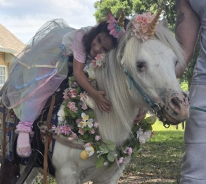 Unicorn Birthday Surpise Pinellas Park Tampa Bay