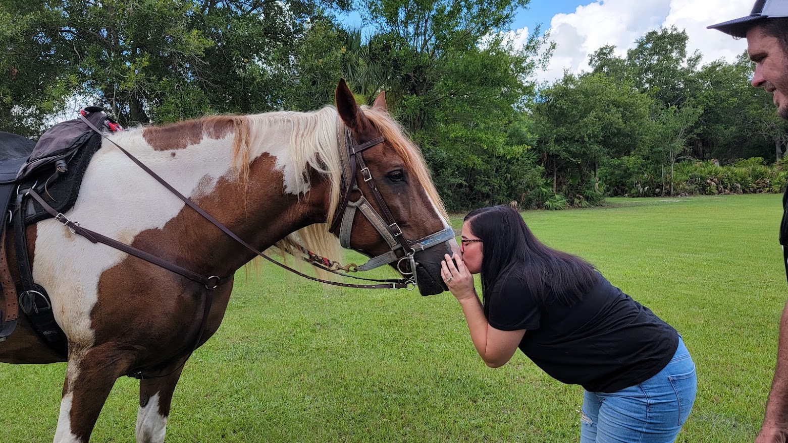 connect with horses through our educational horse experience.