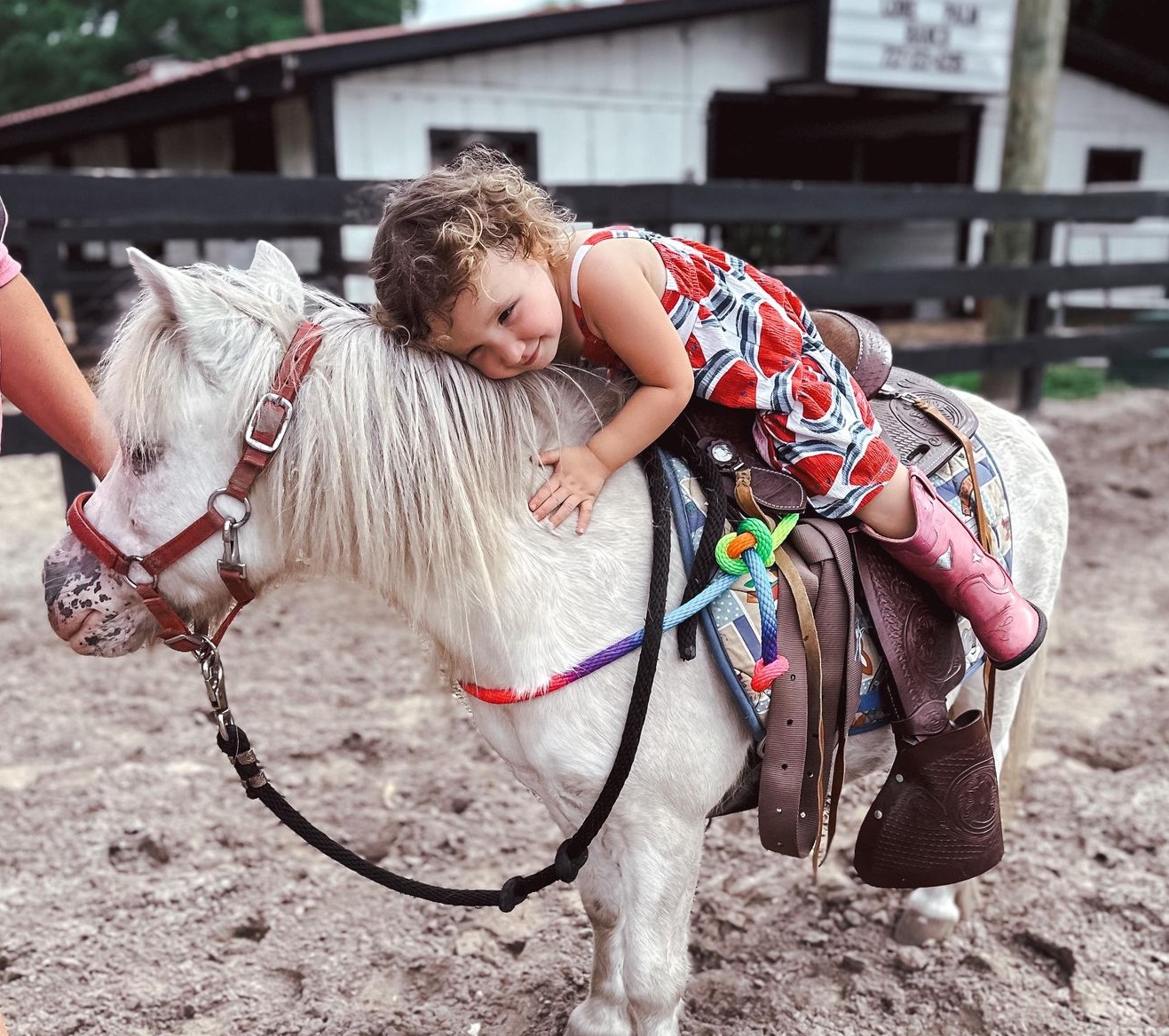 pony rides tamp clearwater pinellas park